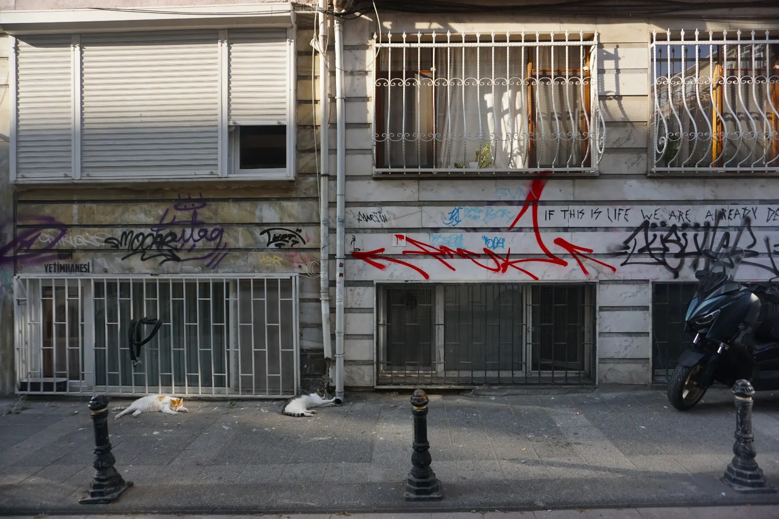 Çizgi 2