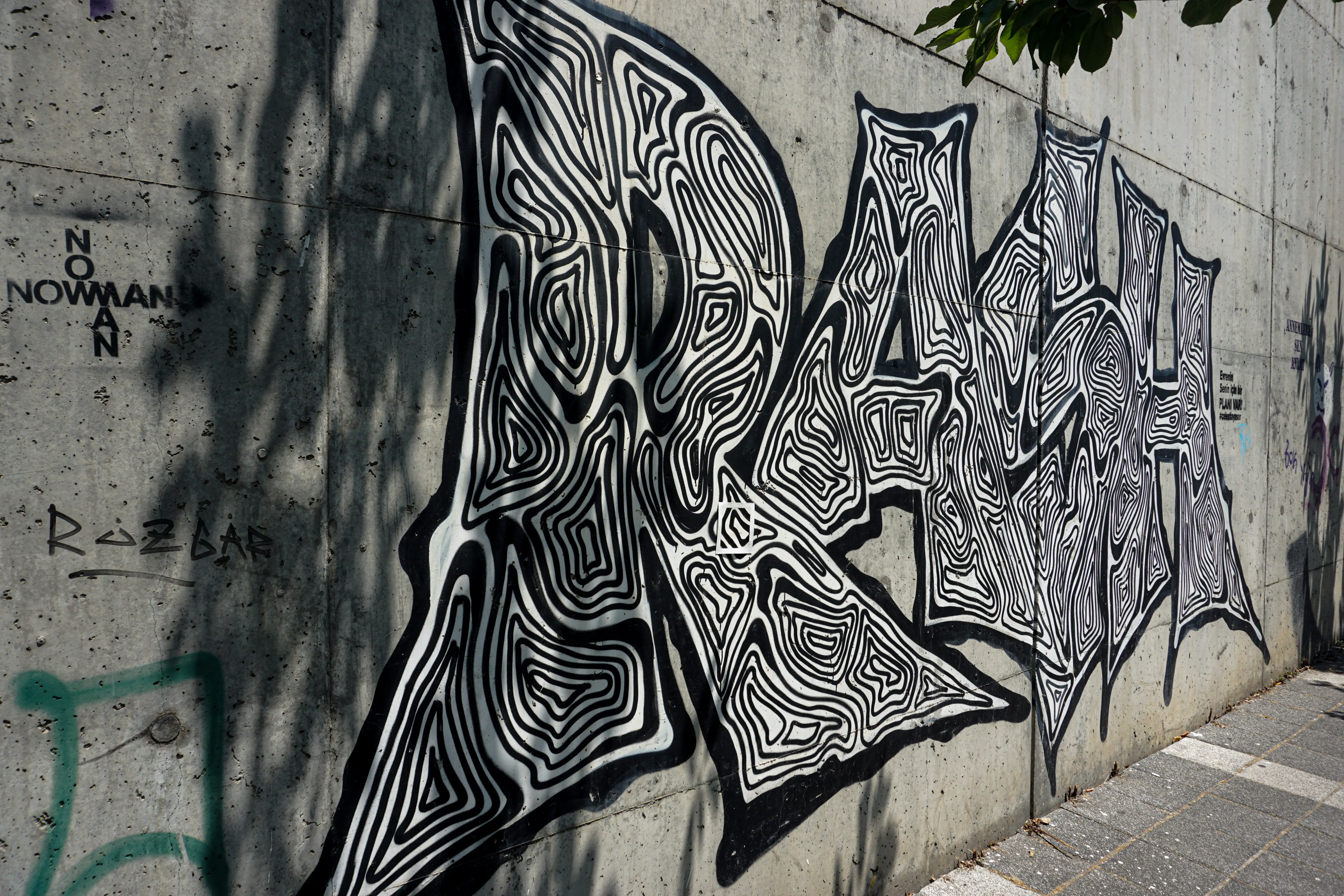 Rash 3